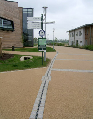 University York, UK, 2010