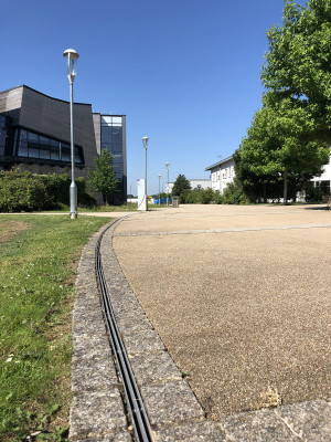 University York, UK, 2020